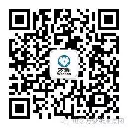 开云手机·官方站官网-开云online(中国)
